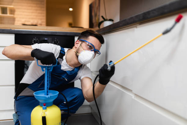 Best Pest Removal Services  in Robesonia, PA