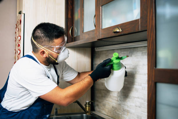 Best Pest Prevention Services  in Robesonia, PA