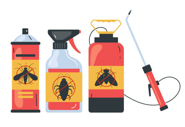 Best Spider Control Near Me  in Robesonia, PA