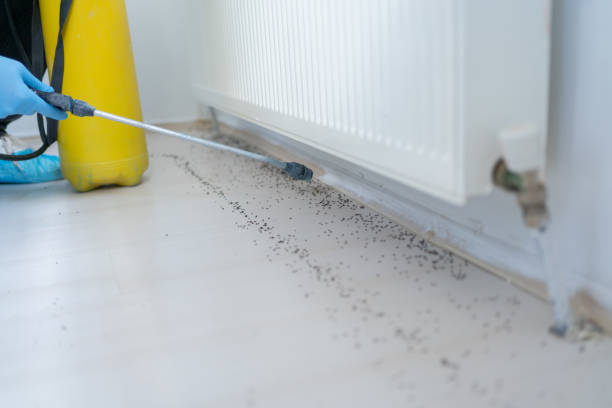 Best Pest Control for Restaurants  in Robesonia, PA